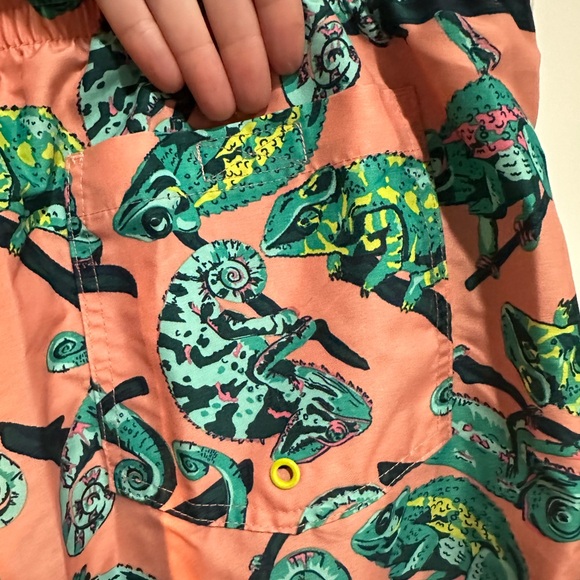 Chameleon swim shorts - Picture 5 of 7